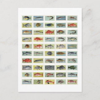 Afrikaanse vis briefkaart