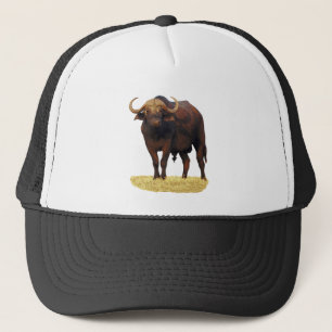 Afrikaanse waterbuffel trucker pet