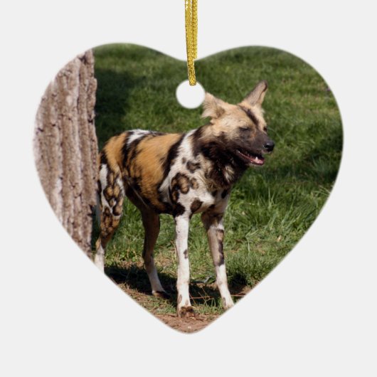 Afrikaanse Wild Dog-kerstversiering Keramisch Ornament (Voorkant)