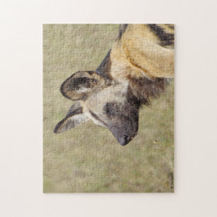 Afrikaanse Wild Dog Puzzle Legpuzzel