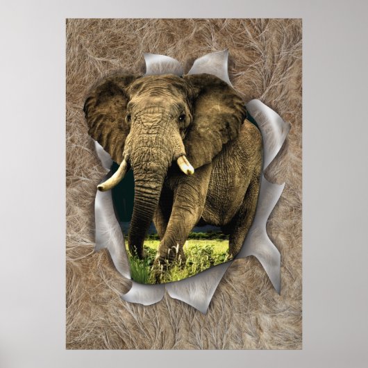 Afrikaanse wilde dieren poster (Voorkant)