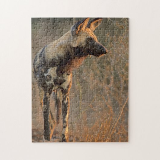 Afrikaanse Wilde Dog (Lycaon Pictus), Kruger Legpuzzel (Verticaal)