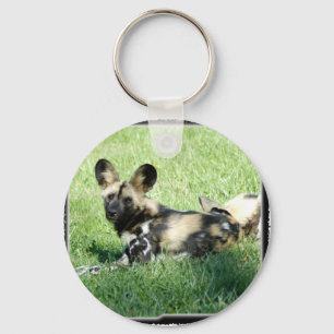 afrikaanse wilde hond_10x10 sleutelhanger