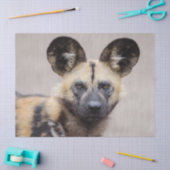 Afrikaanse wilde hond (geslepen hond) tissuepapier (Craft)