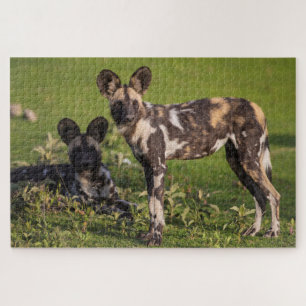 Afrikaanse wilde honden in Tanzania Legpuzzel
