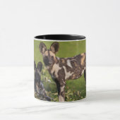 Afrikaanse wilde honden in Tanzania Mok (Midden)