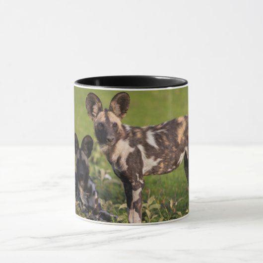 Afrikaanse wilde honden in Tanzania Mok (Midden)