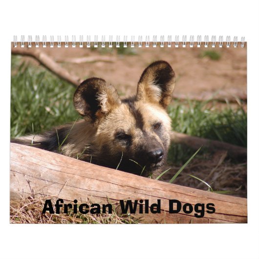 Afrikaanse Wilde Honden Kalender, Afrikaanse Wilde Kalender (Hoes)