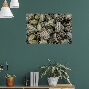 Afrikaanse wilde komkommer tropisch plant poster