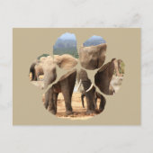 Afrikaanse wilde levende lion Pawprint Elephant Si Briefkaart (Voorkant)