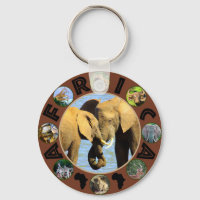 Afrikaanse Wildlife Fotografie Cirkel Olifant Lief
