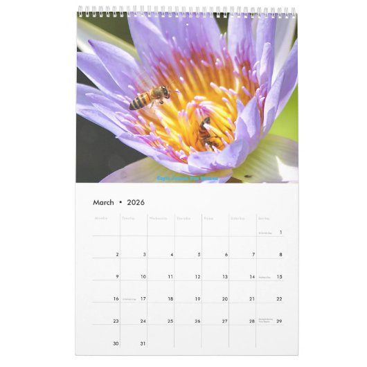 Afrikaanse Wildlife Kalender 2025 (Mar 2026)