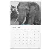 Afrikaanse Wildlife Kalender 2025 (Jan 2026)