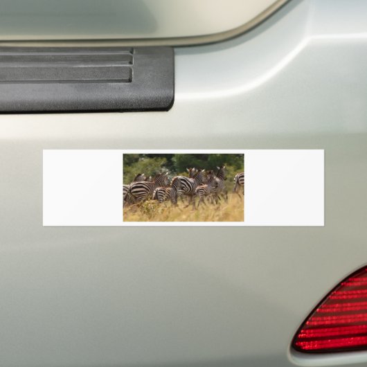 Afrikaanse zebra cool spul bumpersticker (Op auto)
