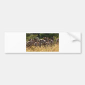 Afrikaanse zebra cool spul bumpersticker (Voorkant)