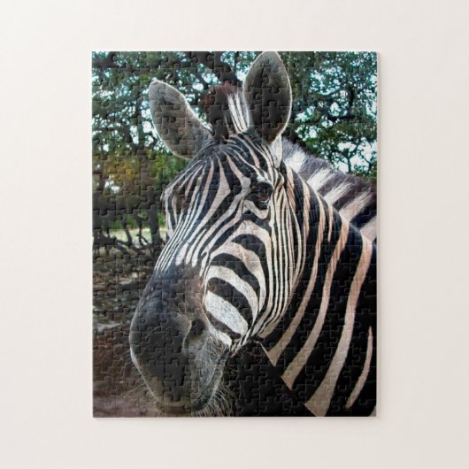 Afrikaanse Zebra. Legpuzzel (Verticaal)