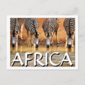 AFRIKAANSE ZEBRA (Mojisola Onifade) Briefkaart (Voorkant)