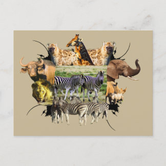 Afrikaanse Zebra van wilde Lijsten Briefkaart