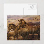 afrikaanse zebras briefkaart (Voorkant / Achterkant)