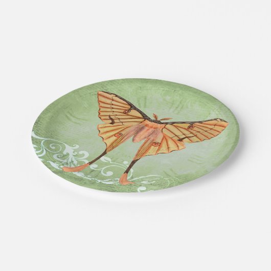 Afrikaanse zijderoute papieren bordje (Gekanteld)