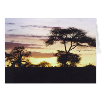 Afrikaanse zonsondergang