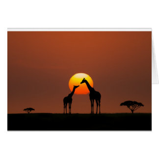 Afrikaanse zonsondergang
