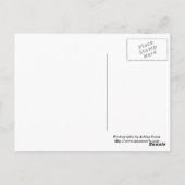 Afrikaanse zonsondergang briefkaart (Achterkant)