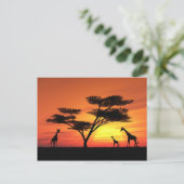 Afrikaanse zonsondergang briefkaart (Staand voorkant)