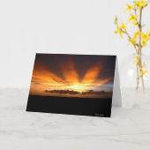 Afrikaanse Zonsondergang Kaart (Gele Bloem)