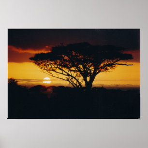 afrikaanse zonsondergang poster
