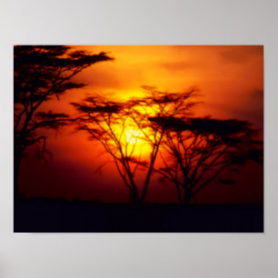 Afrikaanse Zonsondergang Poster