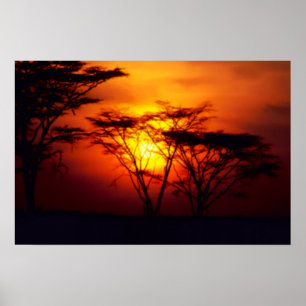 Afrikaanse Zonsondergang Poster
