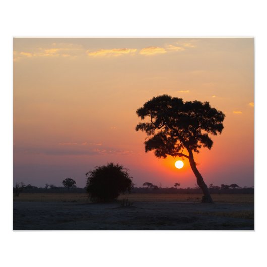 Afrikaanse zonsopgang foto afdruk (Voorkant)