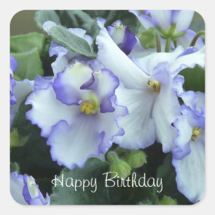 Afrikanen Violet Happy Birthday-stickers Vierkante Sticker