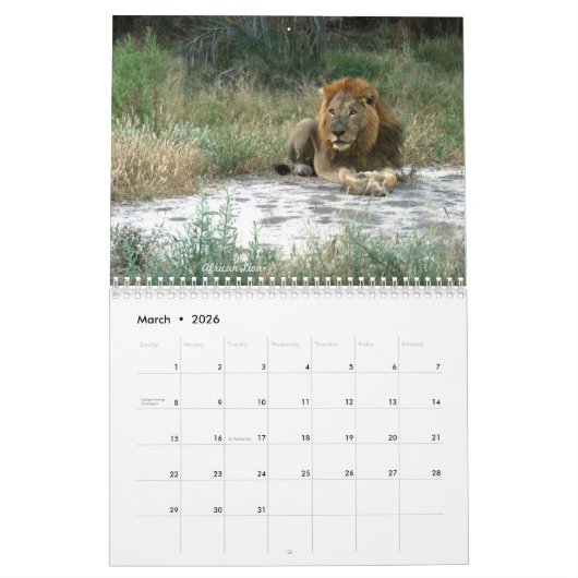 Afrique - Calendrier 2025 (Mar 2026)