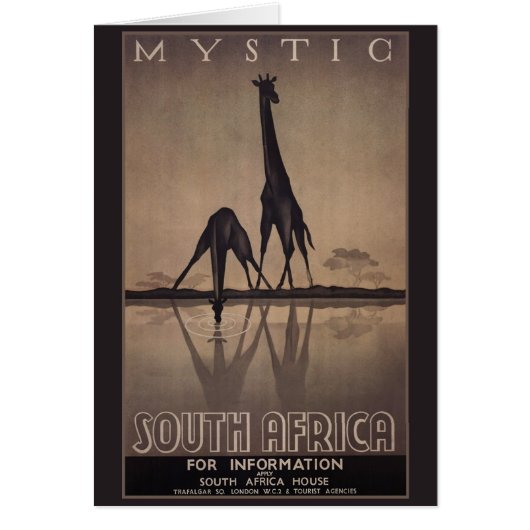 Afrique du Sud (Devant)