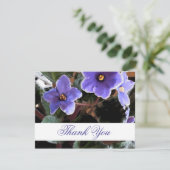 Afrique Violet Merci notes florales (Debout devant)