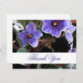 Afrique Violet Merci notes florales (Devant / Derrière)