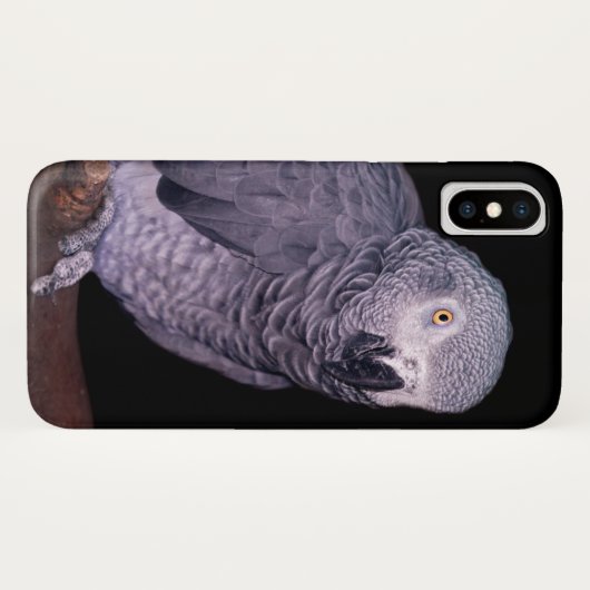 Afro Gray Parrot iPhone X Hoesje (Achterkant (horizontaal))
