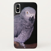 Afro Gray Parrot iPhone X Hoesje (Achterkant)
