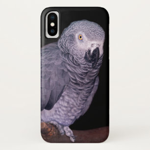 Afro Gray Parrot iPhone X Hoesje