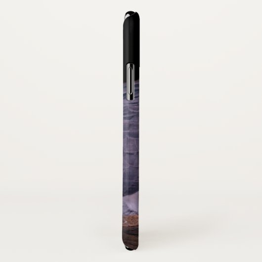 Afro Gray Parrot iPhone X Hoesje (Achterkant / rechts)