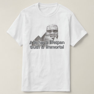Afrocentrische grootheid citaat t-shirt