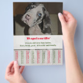 Afscheurfolder Puppy Dog Great Danes Flyer (Hand)