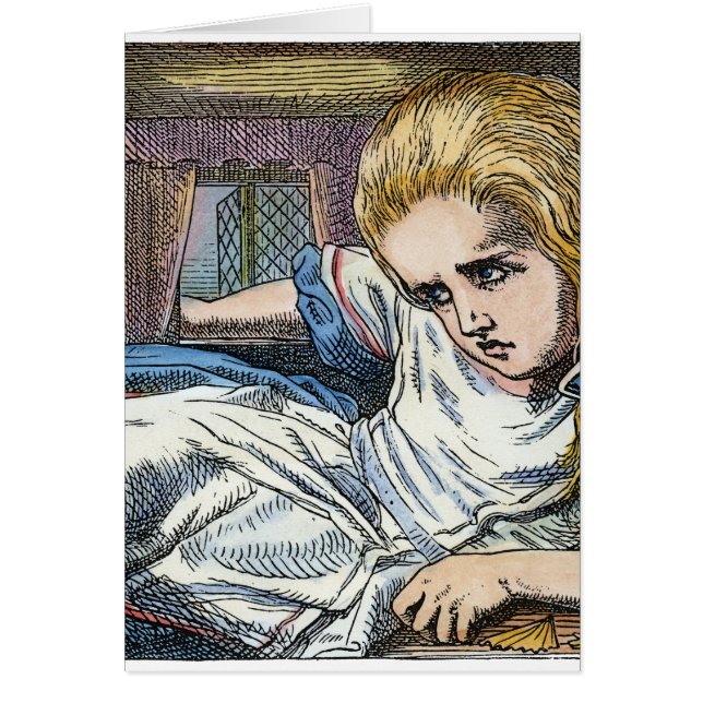 AFSCHRIJVING IN WONDERLAND (Voorkant)