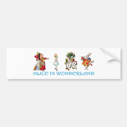 AFSCHRIJVING IN WONDERLAND BUMPERSTICKER (Voorkant)