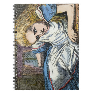 AFSCHRIJVING IN WONDERLAND NOTITIEBOEK