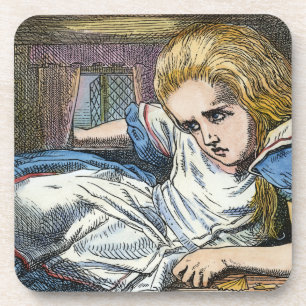 AFSCHRIJVING IN WONDERLAND ONDERZETTER