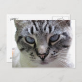 Afsluiten Briefkaart (Voorkant / Achterkant)