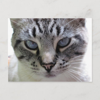 Afsluiten Briefkaart